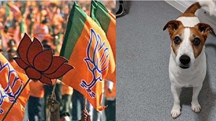 Lok Sabha polls 2019: Dog, best companion-turned into-campaigner, detained in Maharashtra