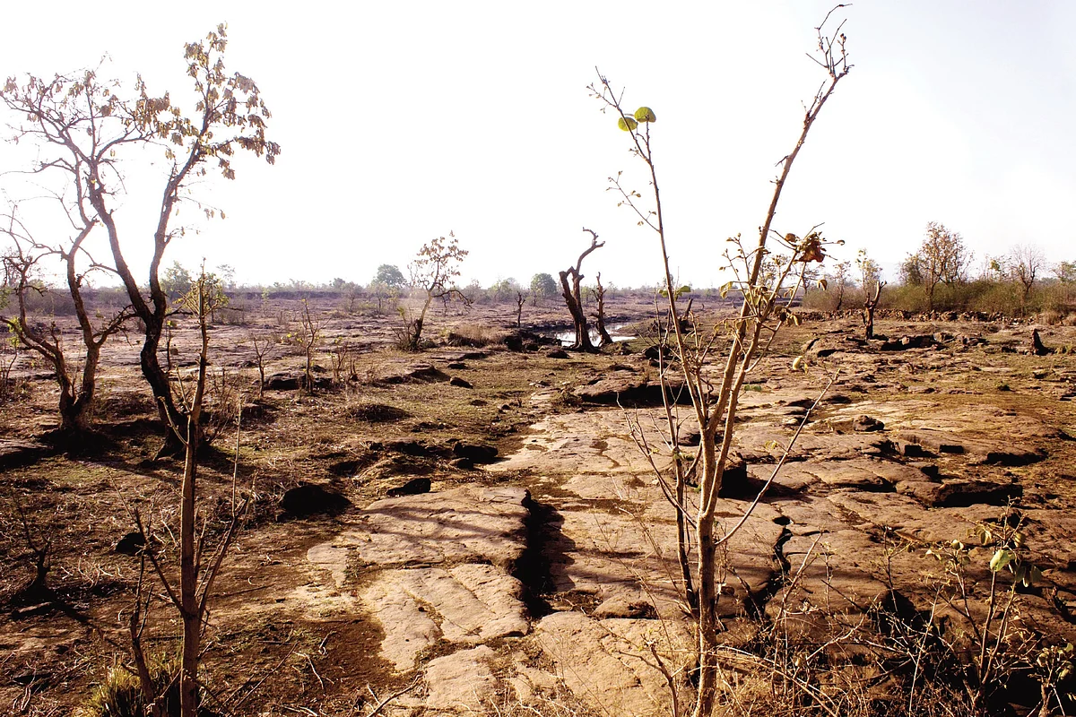Bundelkhand: Farmers struggle, blame corruption in banks and Modi’s unfulfilled promises for their plight