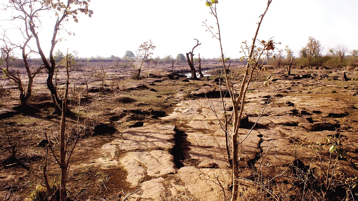 Bundelkhand: Farmers struggle, blame corruption in banks and Modi’s unfulfilled promises for their plight