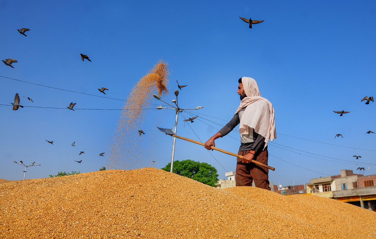 Haryana govt makes prior e-registration mandatory for outside farmers wishing to sell produce in state