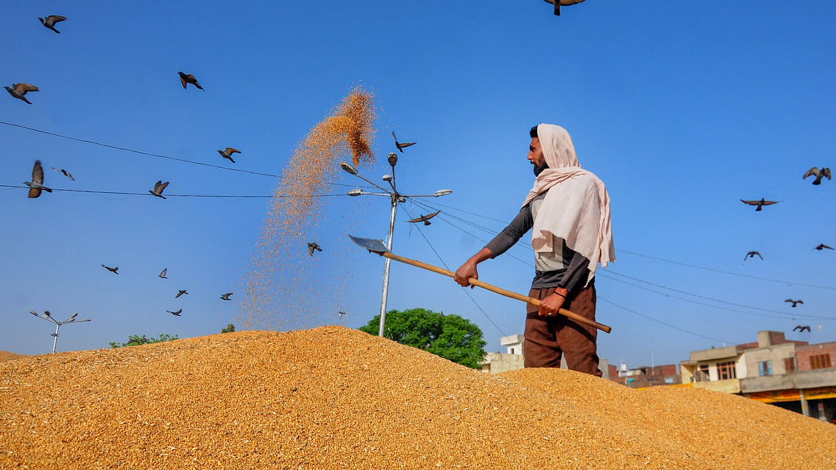 Haryana govt makes prior e-registration mandatory for outside farmers wishing to sell produce in state