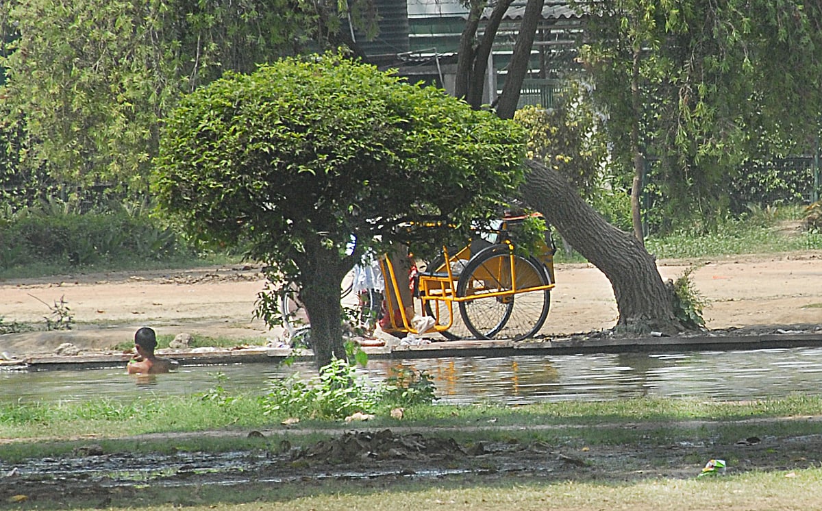 Pramod Pushkarna