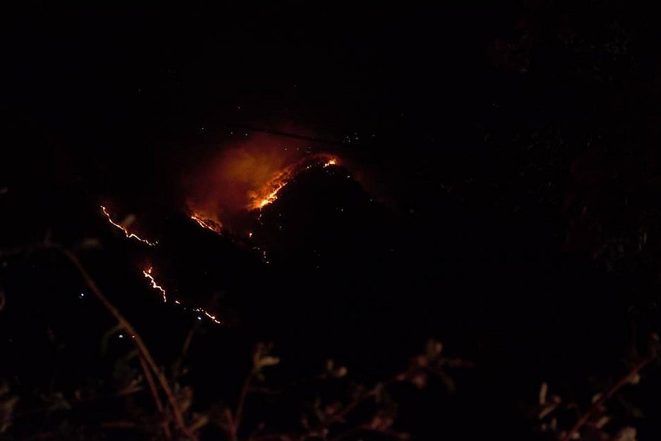Uttarakhand: 10 days on, forest fires continue to rage