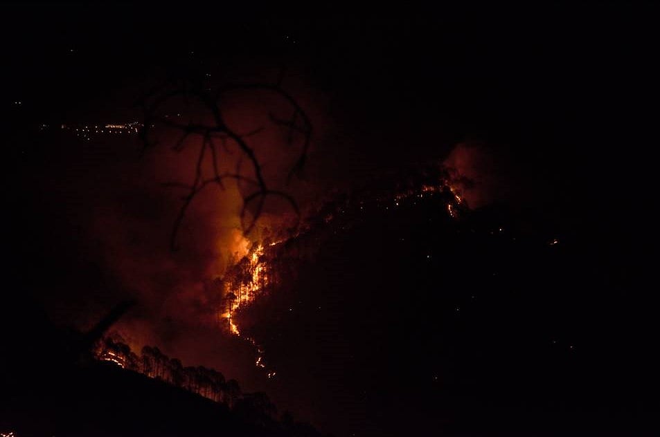 Uttarakhand: 10 days on, forest fires continue to rage