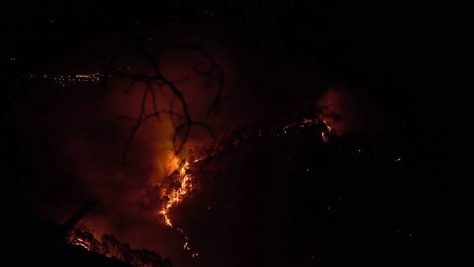 Uttarakhand: 10 days on, forest fires continue to rage