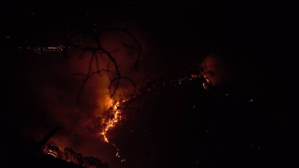 Uttarakhand: 10 days on, forest fires continue to rage