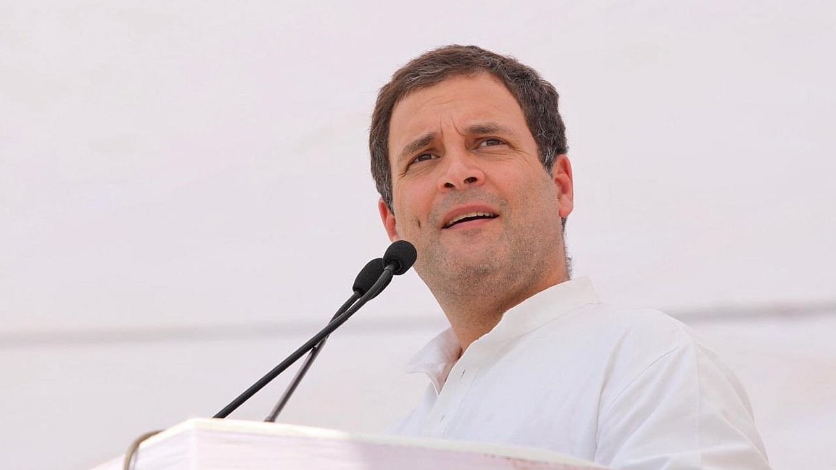Congress President Rahul Gandhi (Social Media)