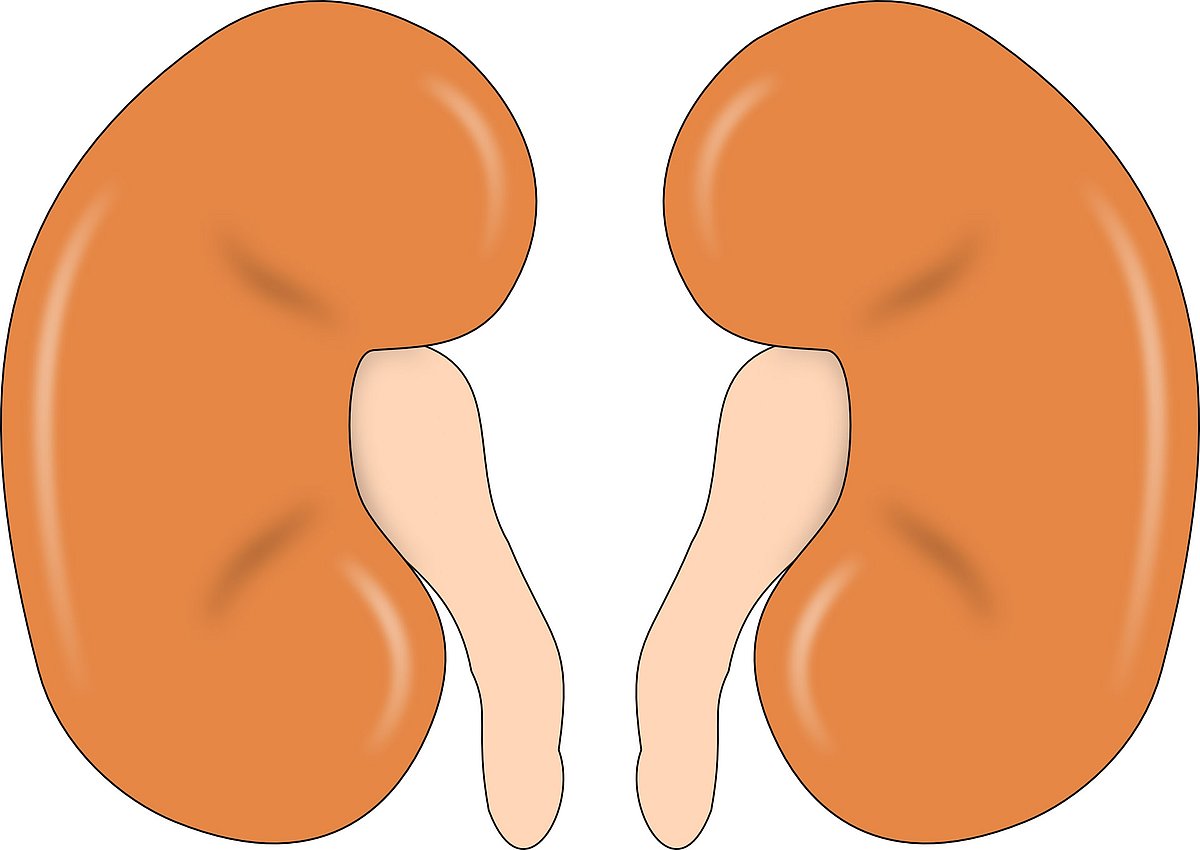 In a rare gesture, Hindu, Muslim couples undergo kidney swap transplant in Punjab