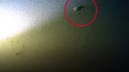 Screengrab from video (Social Media)