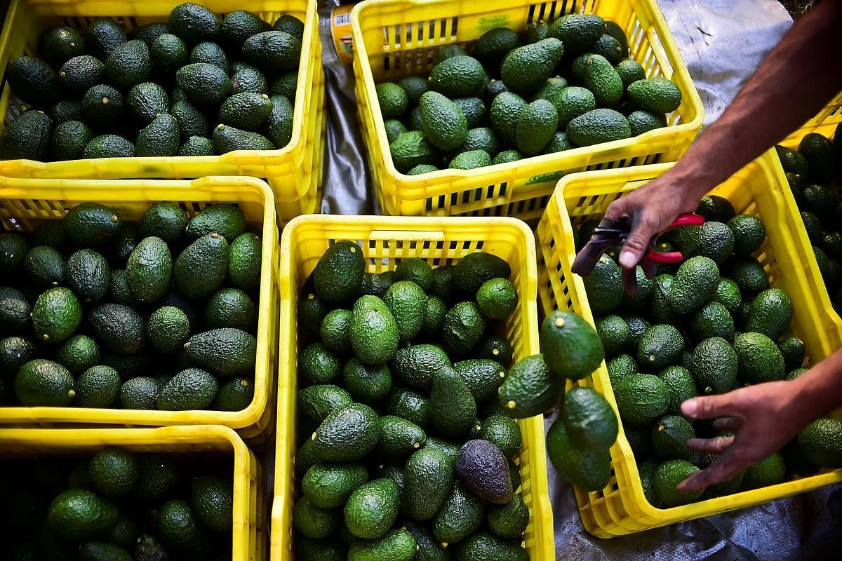 US to impose 5% tariff on all Mexican imports from June