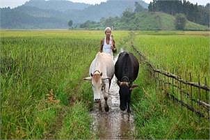 Kerala to object SLBC’s recovery procedures on farmer loans