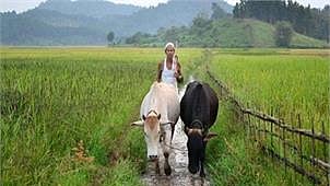 Representational image