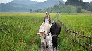Kerala to object SLBC’s recovery procedures on farmer loans