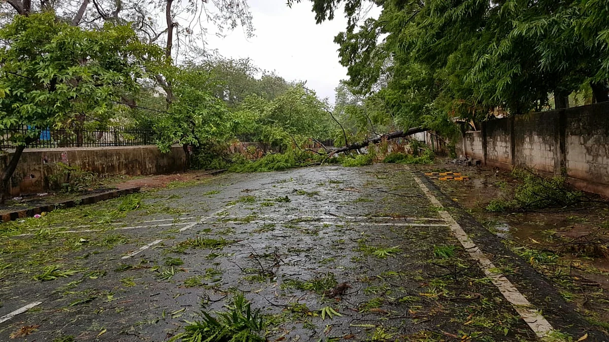 Cyclone Fani: Damage to the environment