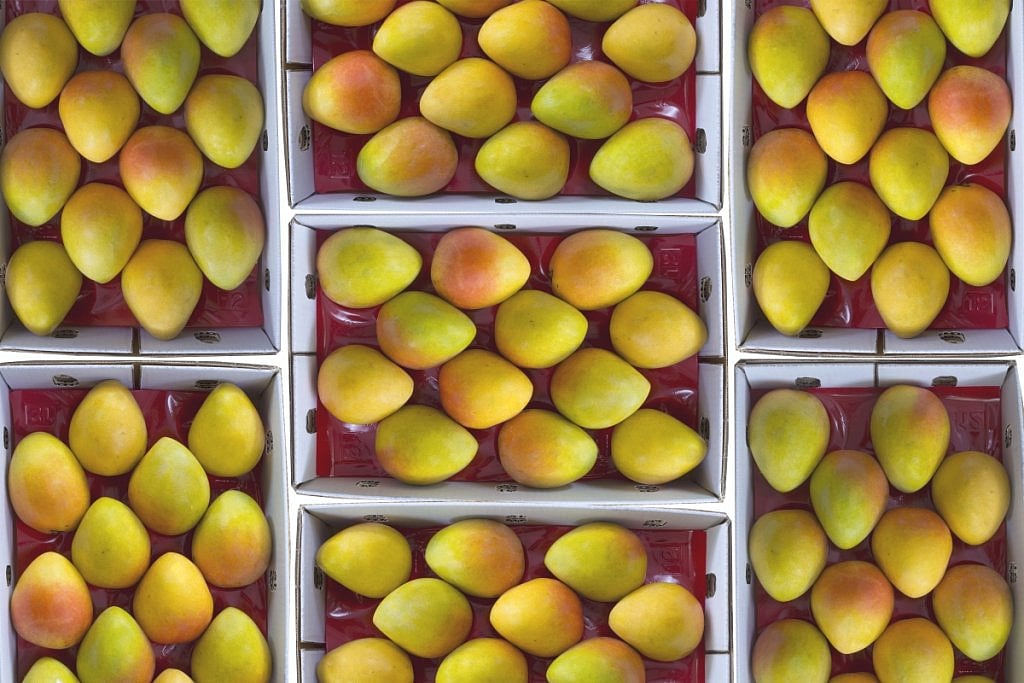 An ode to the mango