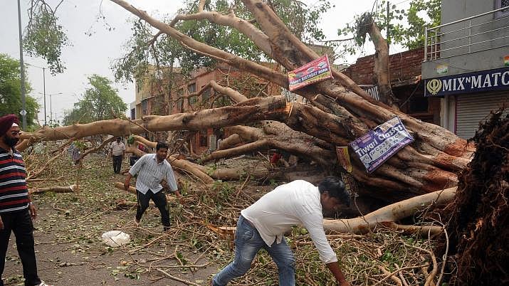 Trees were uprooted and walls collapsed during dust storm at several places in Uttar Pradesh on Thursday (representational image). 
