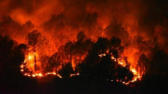 Supreme Court  to hear plea on forest fires in Uttarakhand