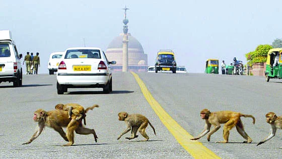 Representative Image (Social Media)