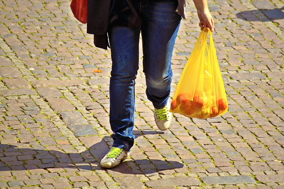Punjab Pollution Control Board seizes 4,000 kg  plastic bags in raids