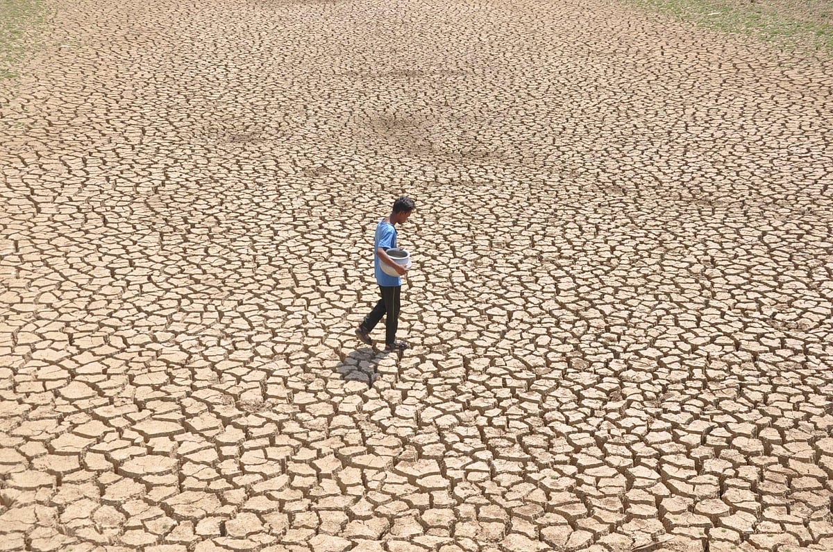 Drought ahead? About 42% of India abnormally dry, says Drought Early Warning System