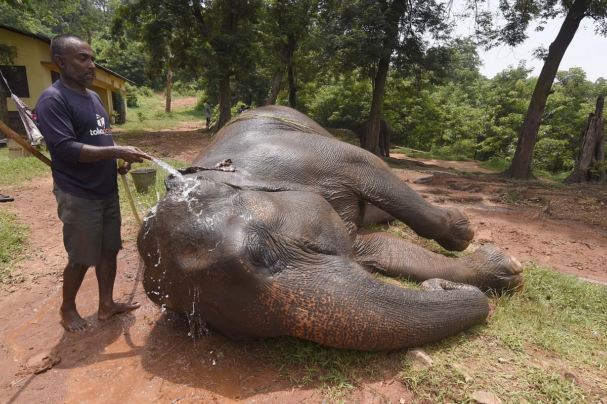 June 22: Delhi and beyond, in      pictures