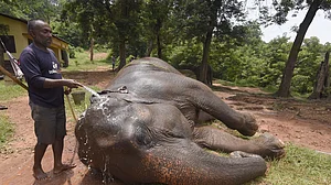 June 22: Delhi and beyond, in pictures