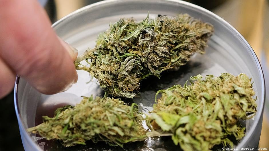 Marijuana consumption, peddling: Doctors, medical students among 10 arrested in Mangaluru 