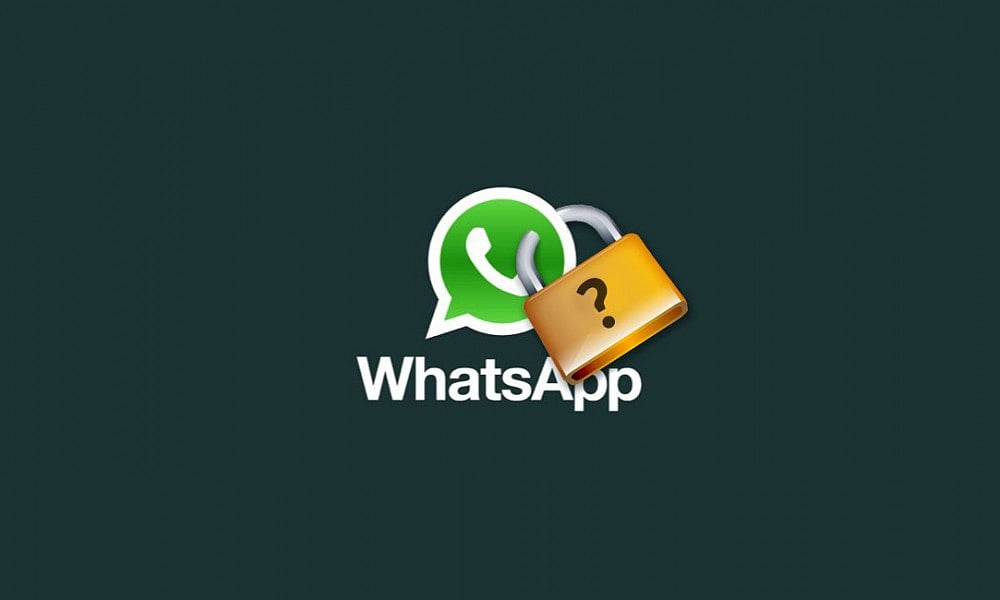 WhatsApp case proves India needs strong data protection law: Expert 