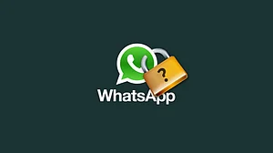 WhatsApp case proves India needs strong data protection law: Expert