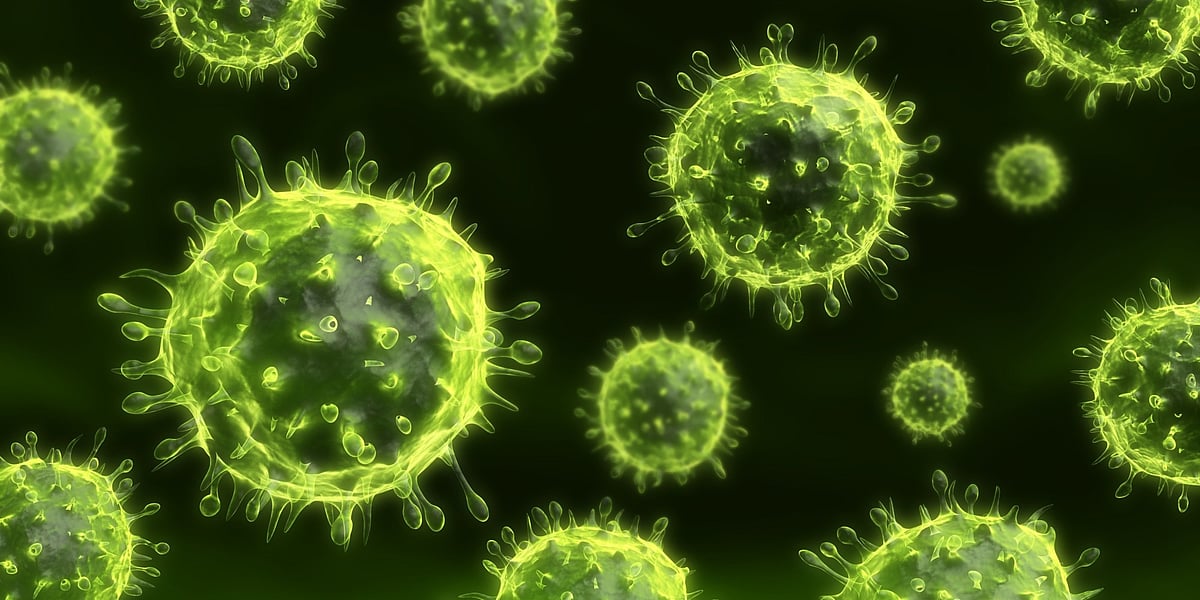 Nipah virus scare over, confirms Kerala Health Minister