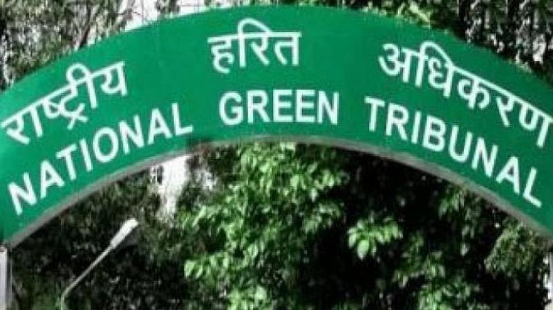 NGT panel slams Haryana Pollution Control Board for ‘inability’ to discharge duty