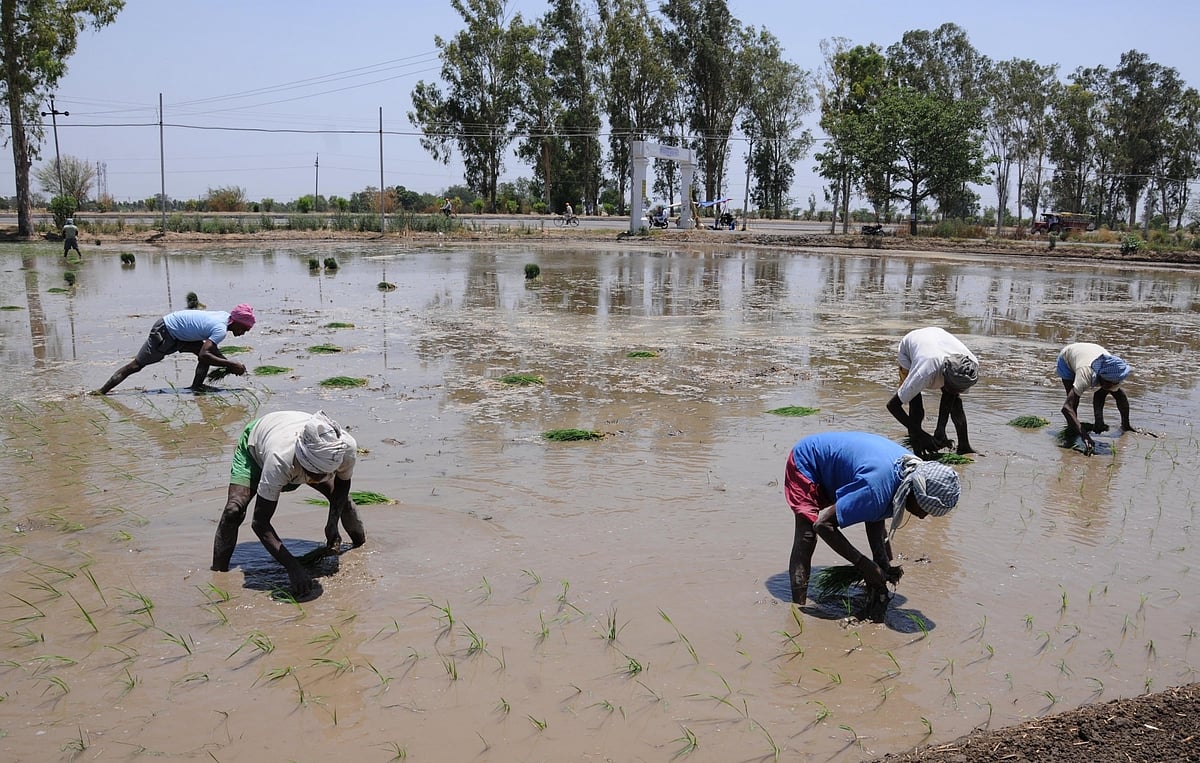 New technology may help Indian farmers double income