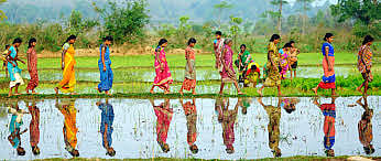 Govt of India botches Gender budgeting, allocates just 2.1%, 0.73% for SC, ST women