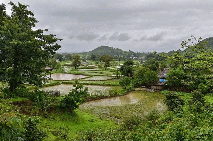 Monsoon deficiency drops to 21% but most of India still under deficient rainfall category