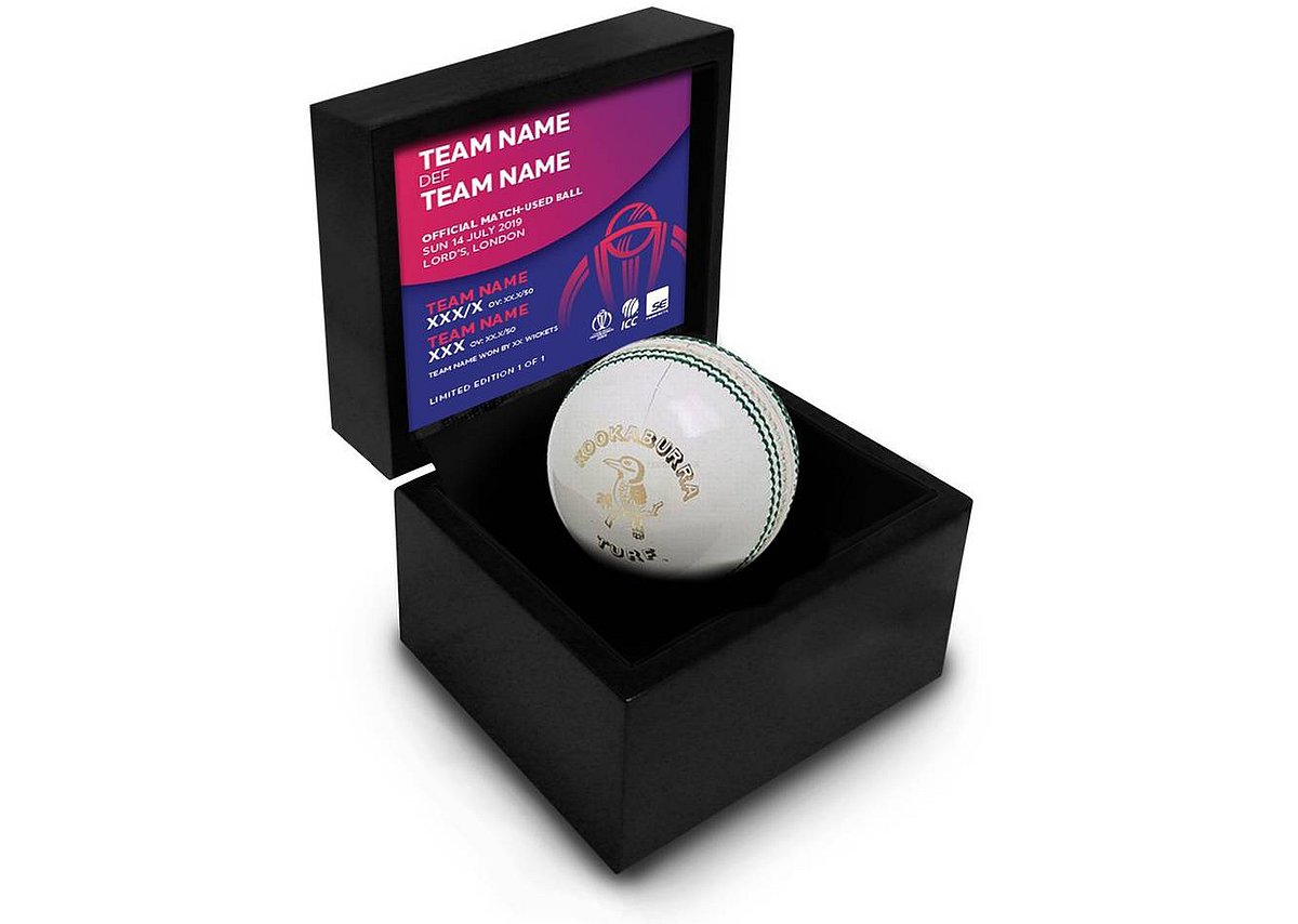 India vs Pakistan in World Cup: Here is how much the ball was sold for