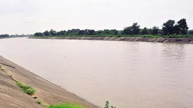 The MP govt had launched a drive to plant 6.6 crore saplings along Narmada (in pic) to revive the river.