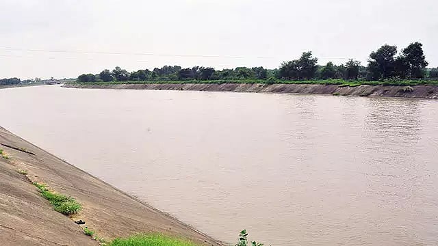 The MP govt had launched a drive to plant 6.6 crore saplings along Narmada (in pic) to revive the river.