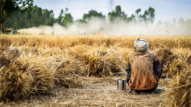 With rain gods, love god too deserts Maharashtra farmers  