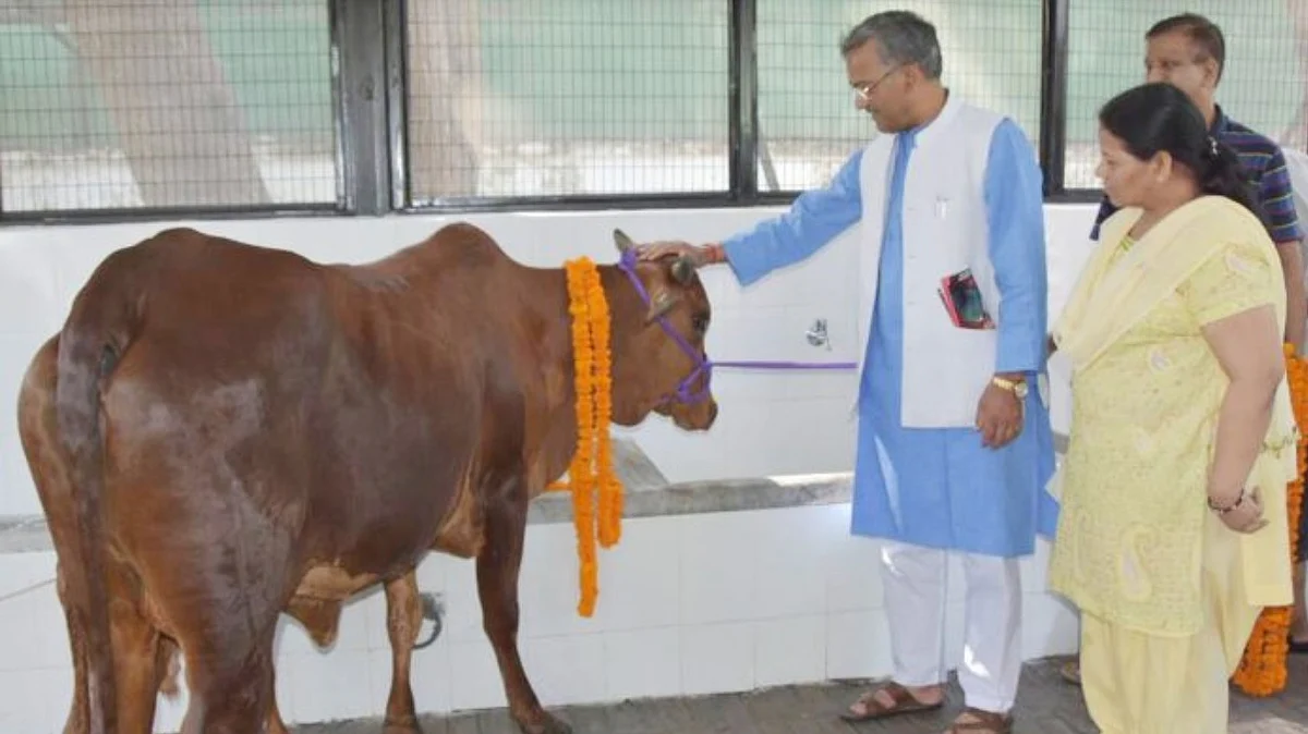 Cow only animal that inhales, exhales oxygen, says Uttarakhand CM Rawat