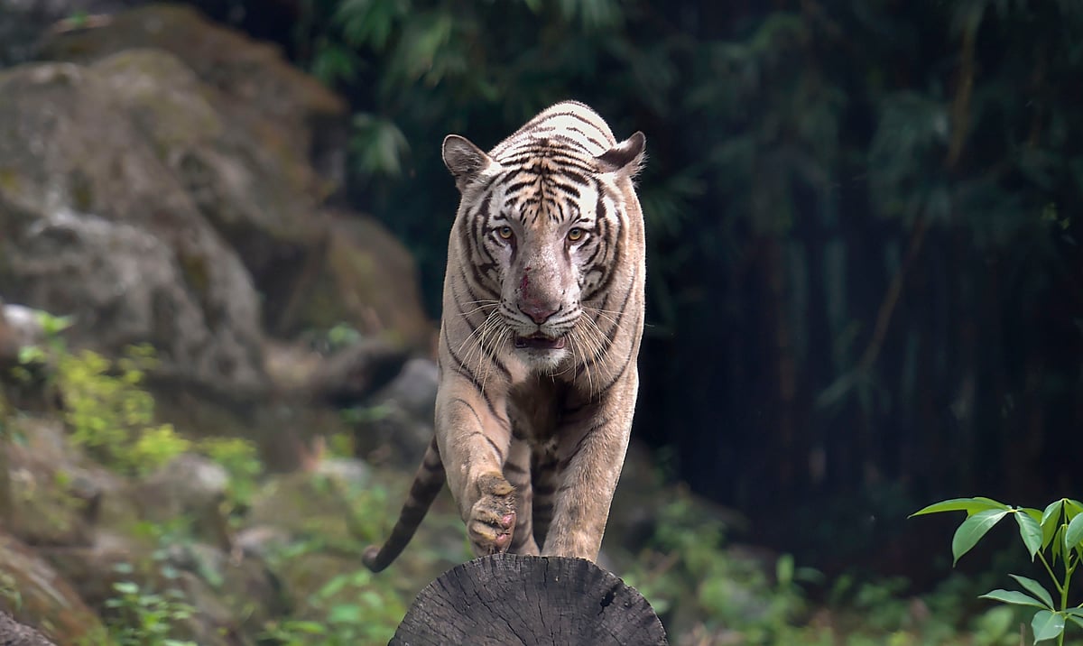 July 29 Delhi and beyond, in      pictures