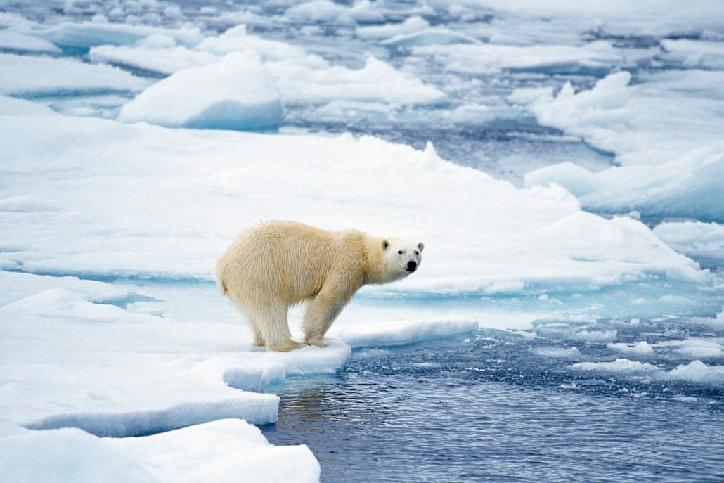 World not doing enough about climate change states a UN report
