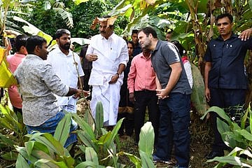  Rahul Gandhi assures to resolve problems facing flood-hit in Wayanad 