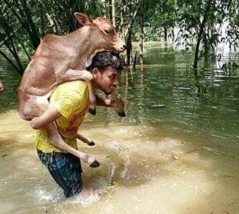 Floods return to Kerala with vengeance, more than 23,000 in relief camps