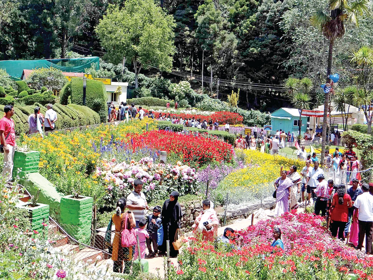 The magic of Kodaikanal 