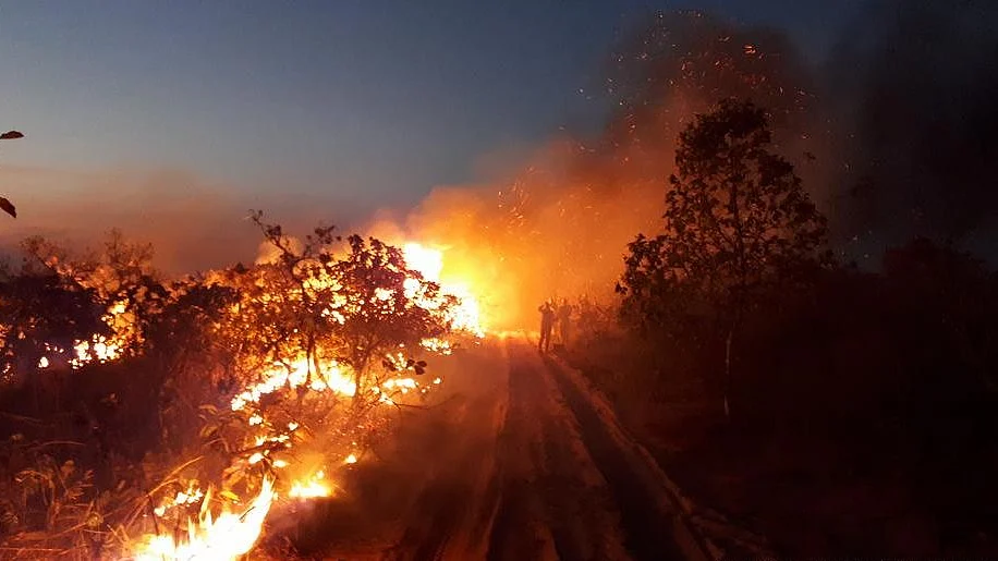 Amazon fires: Can international pressure help put them out?
