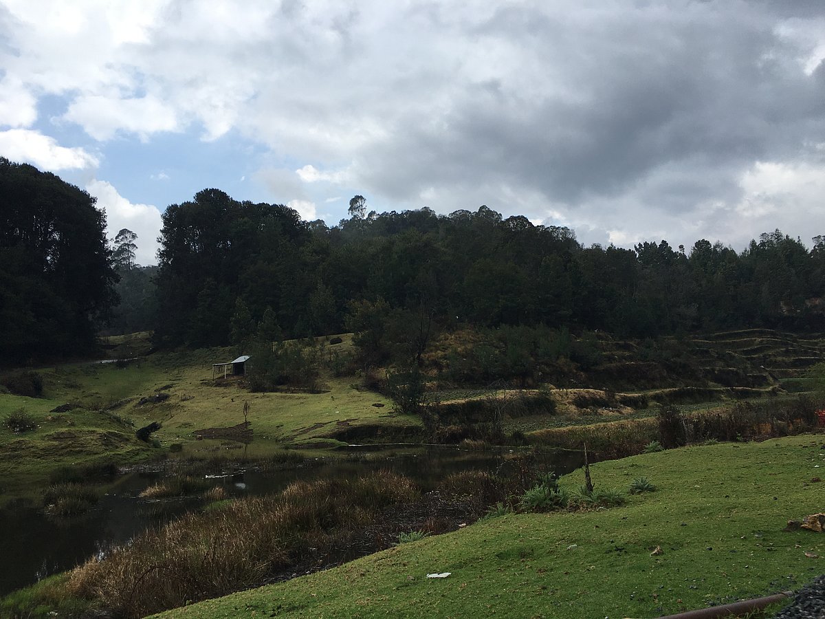The magic of Kodaikanal 