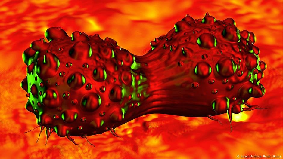 US scientists’ cancer-killing pill can 'annihilate all solid tumours'