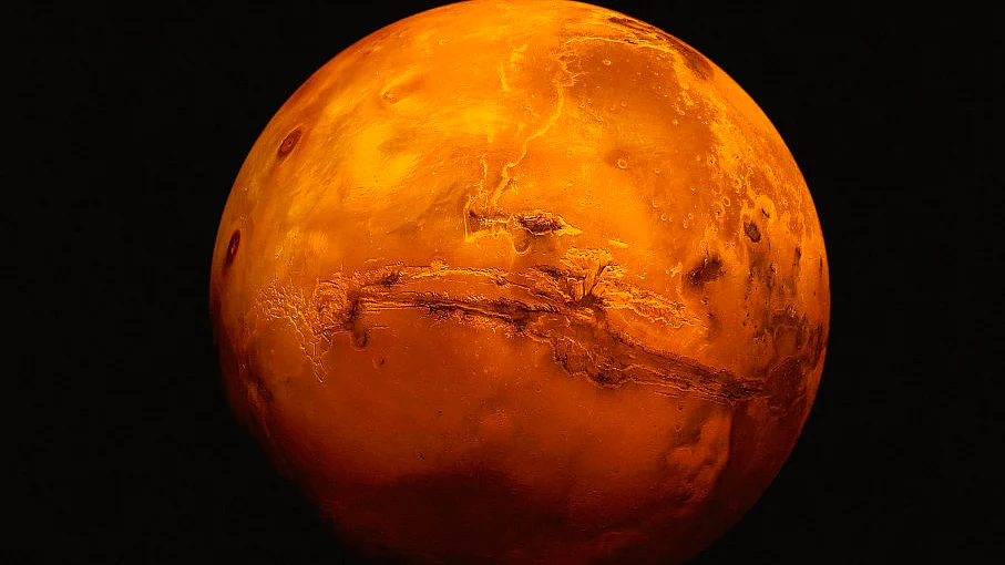 Do we need a backup planet to survive?