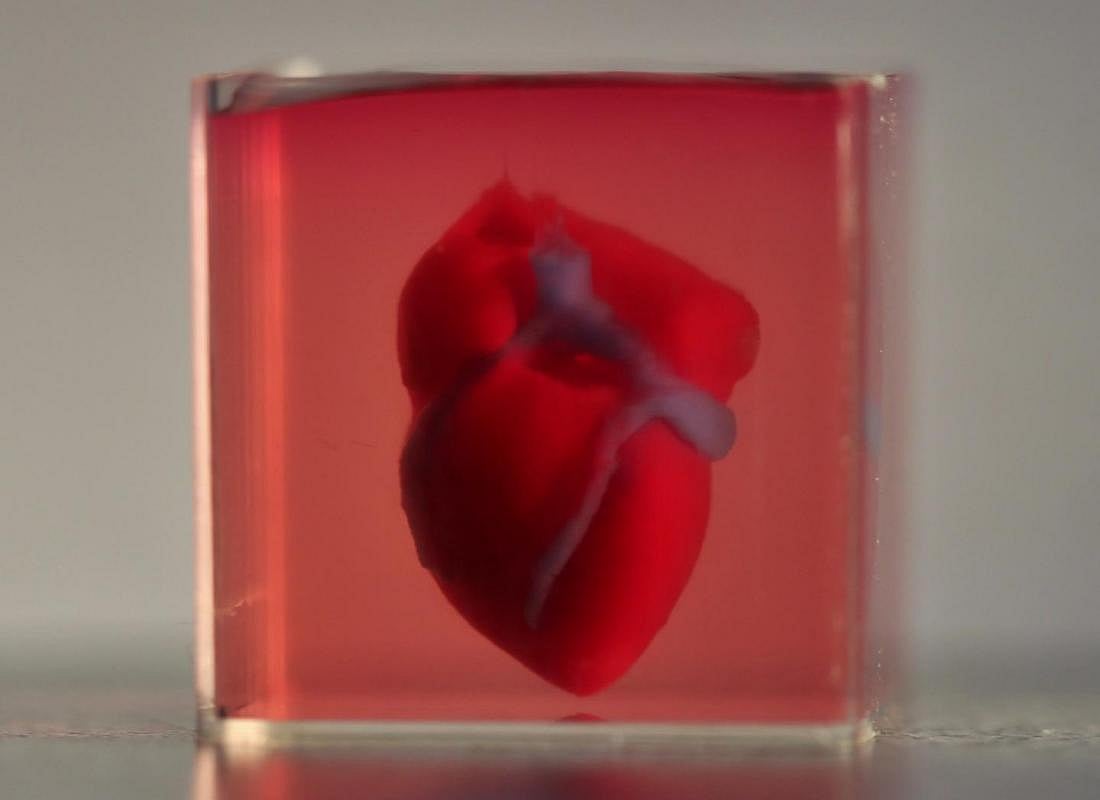 Scientists a step closer to print 3D  full-sized adult human heart