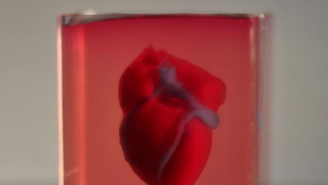 Scientists a step closer to print 3D full-sized adult human heart